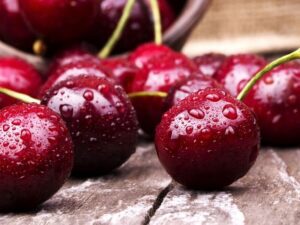 خرید نهال گیلاس تکدانه +قیمت