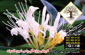 امین الدوله