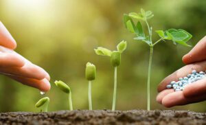 کود سه بیست