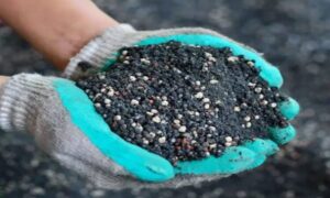 بهترین کود برای درخت