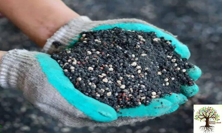 بهترین کود برای درخت