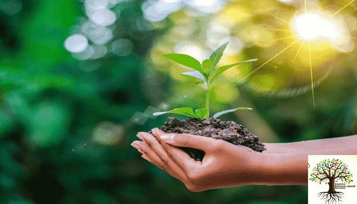 نهالستان بهمن آبادی