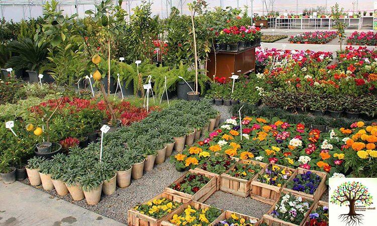 خرید بذر و ملزومات گل و گیاه