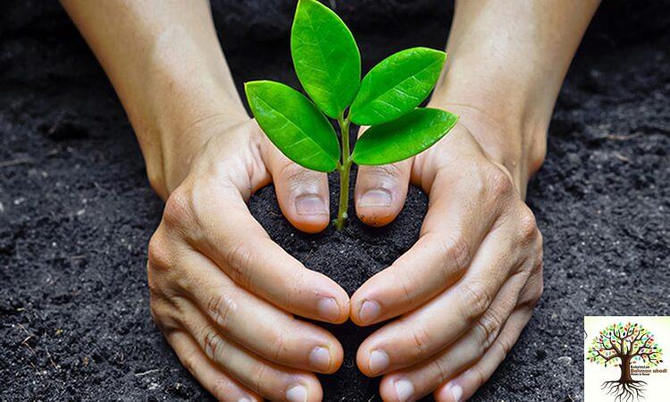 مرکز فروش نهال در تهران