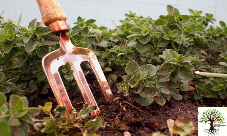 ابزارآلات مهم و ضروری در باغبانی