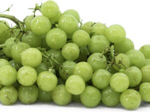 خرید نهال انگور موسکات