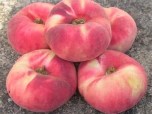 خرید هلو انجیری + قیمت