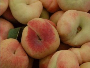 خرید هلو انجیری + قیمت