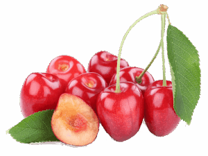 خرید نهال گیلاس سیلویا +قیمت