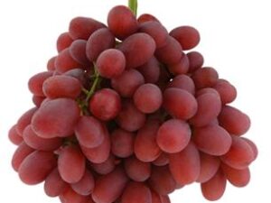 خرید نهال انگور کریمسون+قیمت