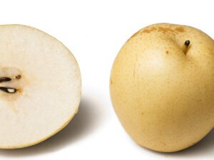 خرید نهال گلابی سیبی +قیمت