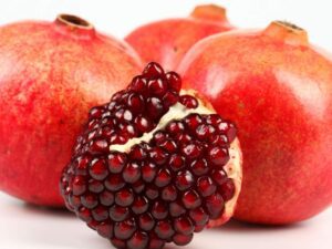 خرید نهال انار واندرفول +قیمت