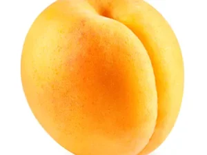 خرید نهال زردالو عسگر اباد+قیمت