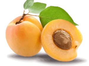 خرید نهال عمده زردآلو کرج