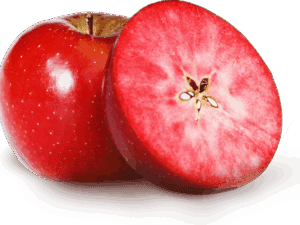 خرید نهال سیب تو سرخ+قیمت