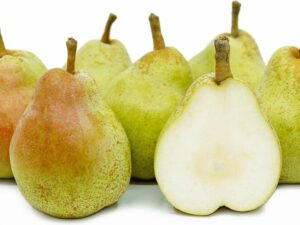 خرید نهال گلابی ویلیام +قیمت