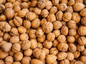 خرید نهال گردو چندلر و قیمت ان