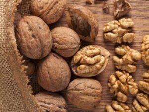 خرید نهال گردو تویسرکان و قیمت