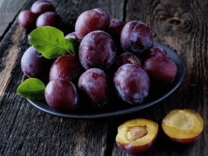 فروش عمده نهال شابلون