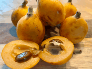 ازگیل ژاپنی