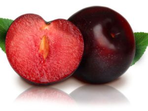 خرید نهال الو خونی +قیمت