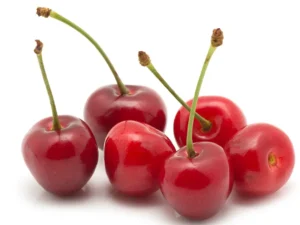 خرید نهال البالو مورلو و قیمت