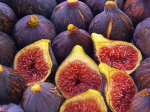 خرید عمده نهال انجیر