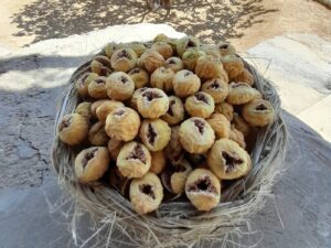 خرید نهال انجیر خشکباری و قیمت