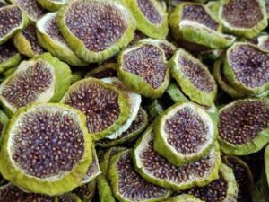 خرید نهال انجیر سبز و قیمت