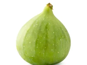 خرید نهال انجیر سبز و قیمت