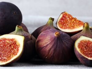 خرید نهال انجیر سیاه و قیمت