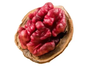 خریدنهال گر تو سرخ و قیمت