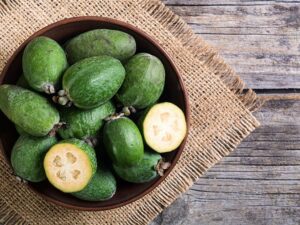 خرید نهال فوجیا و قیمت