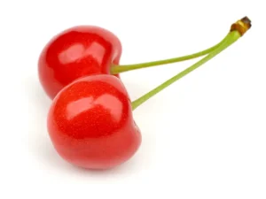 خرید نهال آلبالو محلی و قیمت