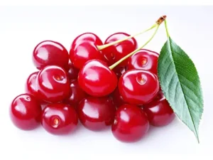 خرید نهال عمده آلبالو