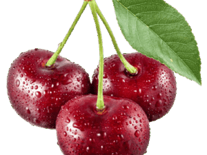 خرید نهال البالو گوشواره ای +قیمت