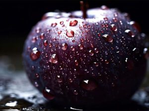 خرید نهال آلو شرابی + قیمت