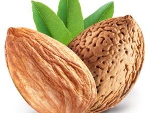 خرید نهال بادام اسکندی +قیمت