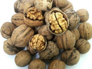 خرید نهال گردو کاغذی و قیمت آن