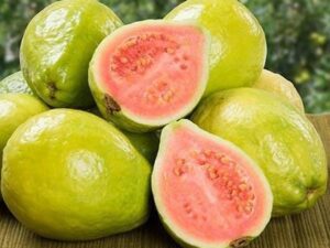 نهال برای مناطق گرمسیر