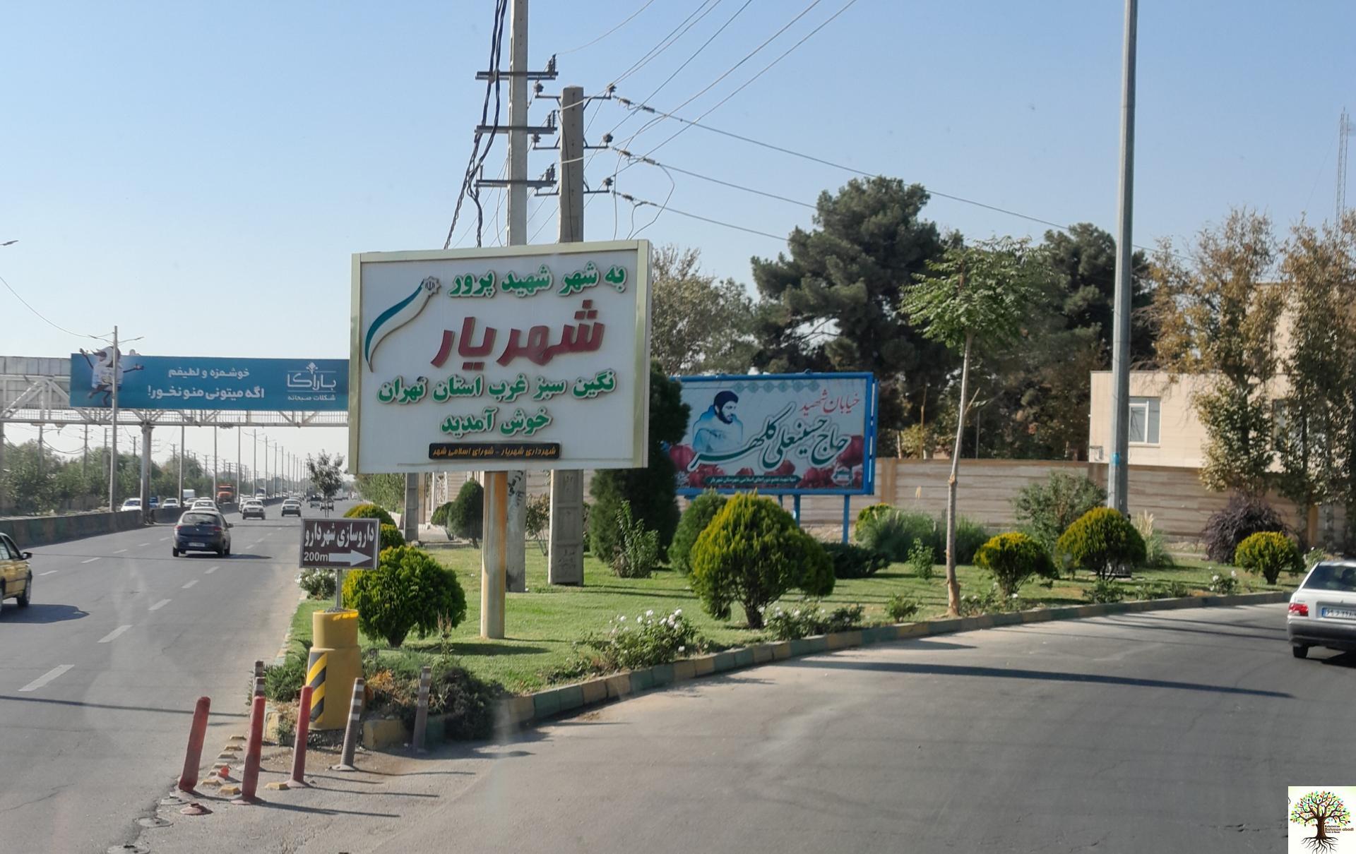 خرید نهال در شهریار