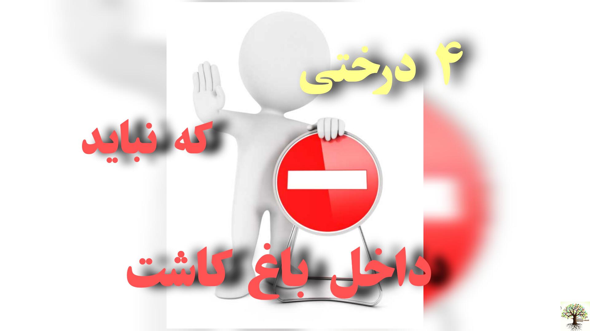 4 درختی که نباید داخل باغ کاشت
