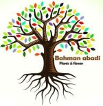 لوگو نهالستان بهمن آبادی